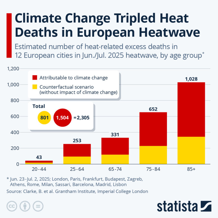 statista info