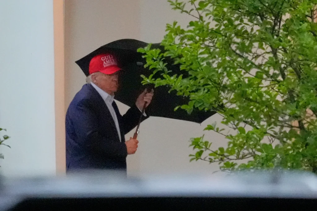 trump x