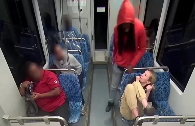 d5709090-8e4f-11f0-b7ee-f7d13e693c9b