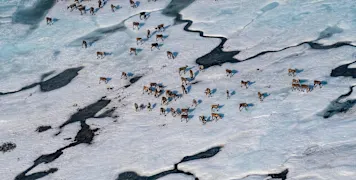 663fe740-b058-11f0-a13d-4f8442564b09