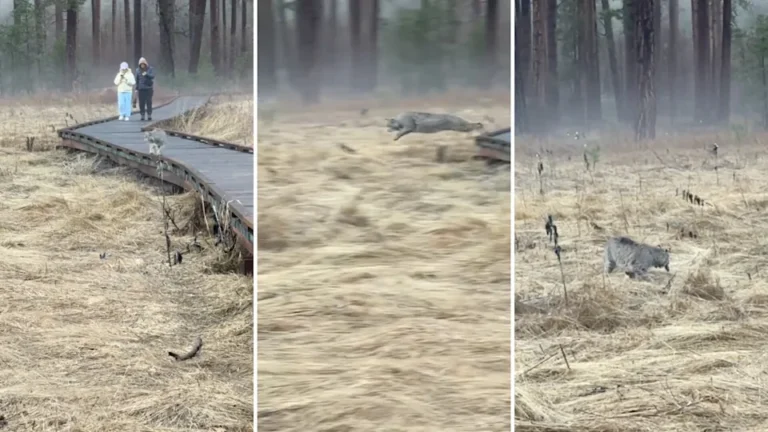 7ed6e6c4509d3e364c60aa9cf8e1370d