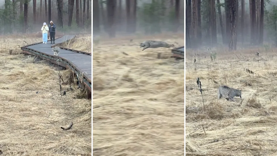 7ed6e6c4509d3e364c60aa9cf8e1370d