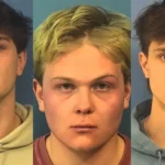 dupage-sex-assault-mugs