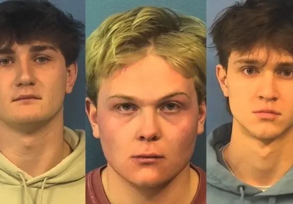 dupage-sex-assault-mugs
