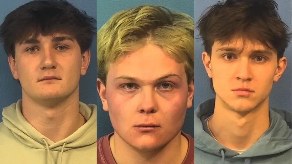 dupage-sex-assault-mugs