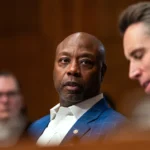 337ff70f96ad279e06372ee644a45390