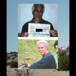 bb2155ca8f90046378fba17723435a00