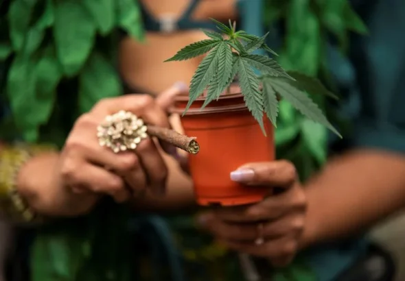 6eabcb61c98fc9fe70be66440784ee0f